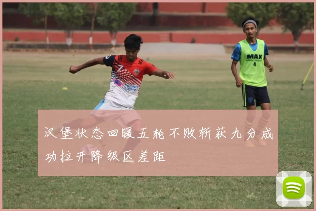 汉堡状态回暖五轮不败斩获九分成功拉开降级区差距